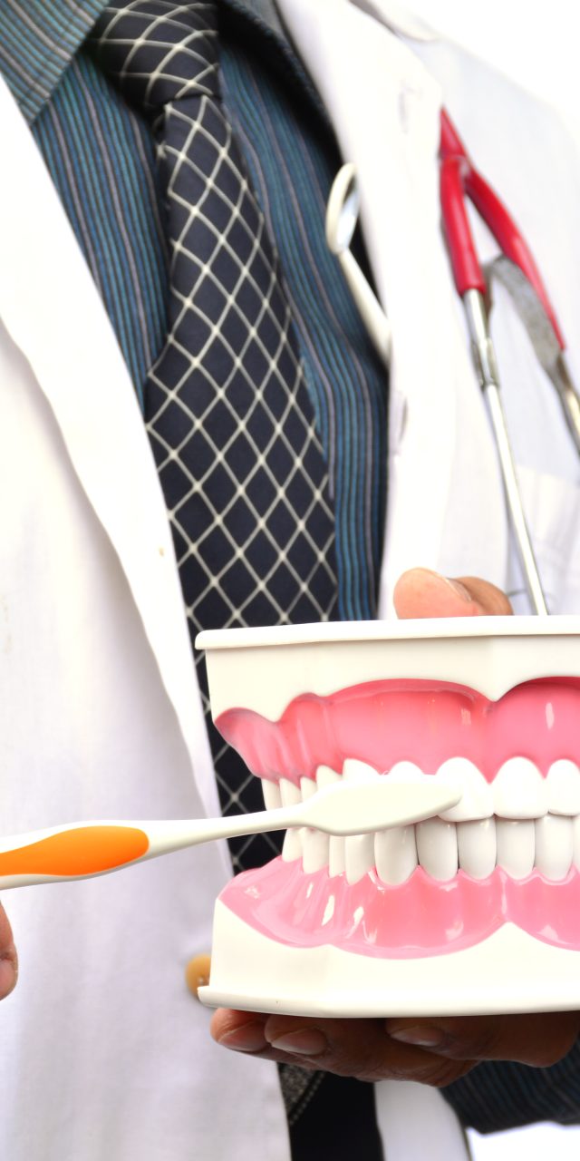 dentist demonstration for use tooth brush on white background is